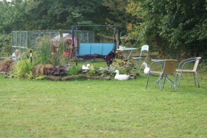 Our Meadow